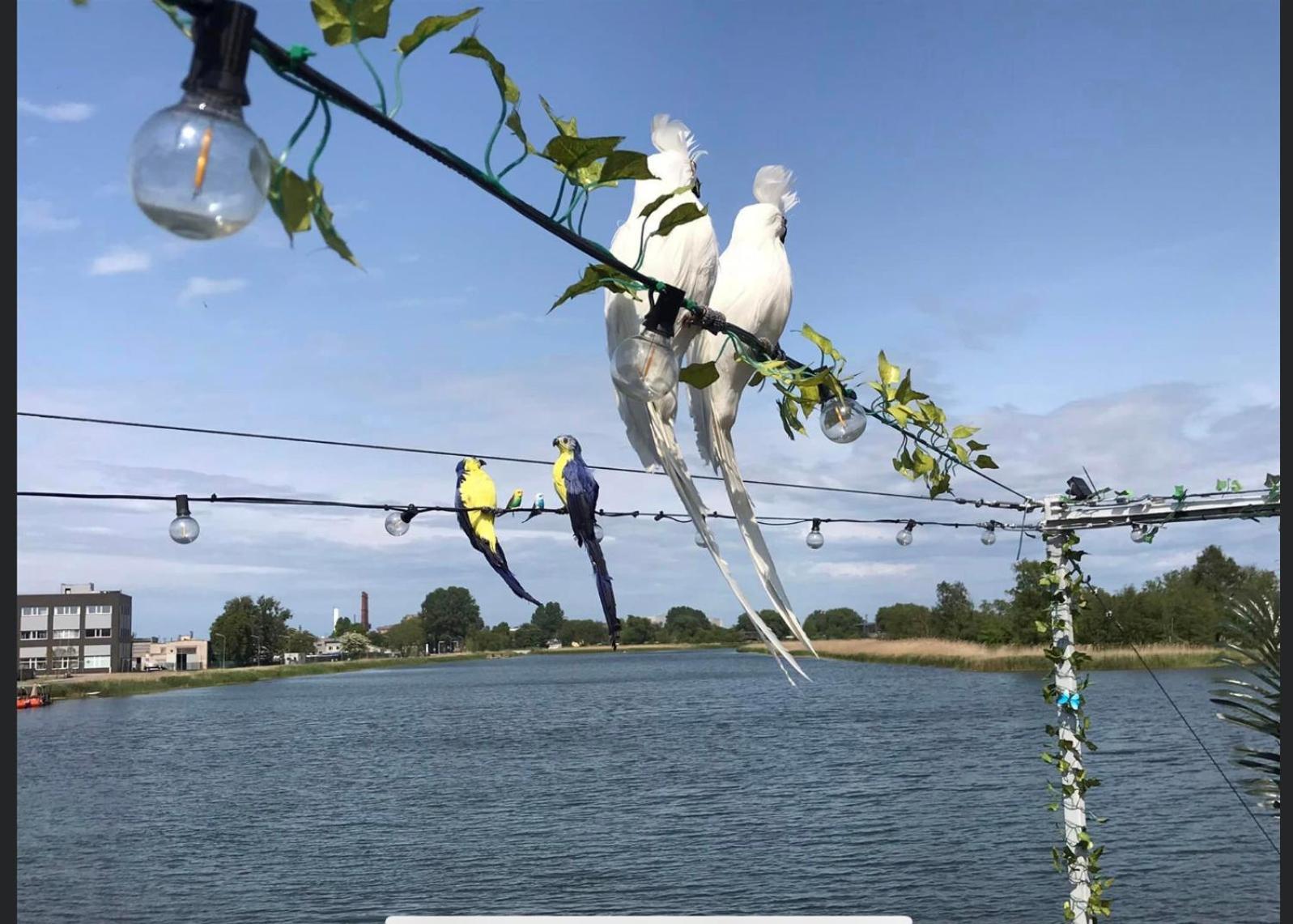 Houseboat On The Water Hotel Liepāja Екстериор снимка